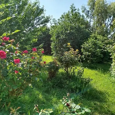 Les Coccinelles En Baie Du Mont St Michel Ferienhaus Dragey