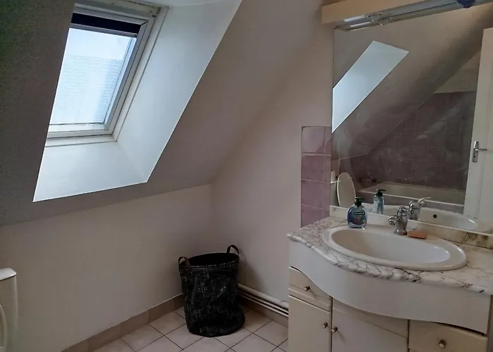 Les Coccinelles En Baie Du Mont St Michel Dragey