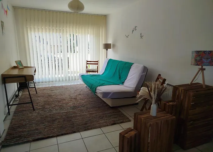 Les Coccinelles En Baie Du Mont St Michel