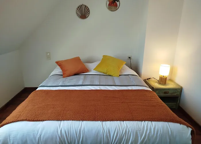 Les Coccinelles En Baie Du Mont St Michel * Dragey